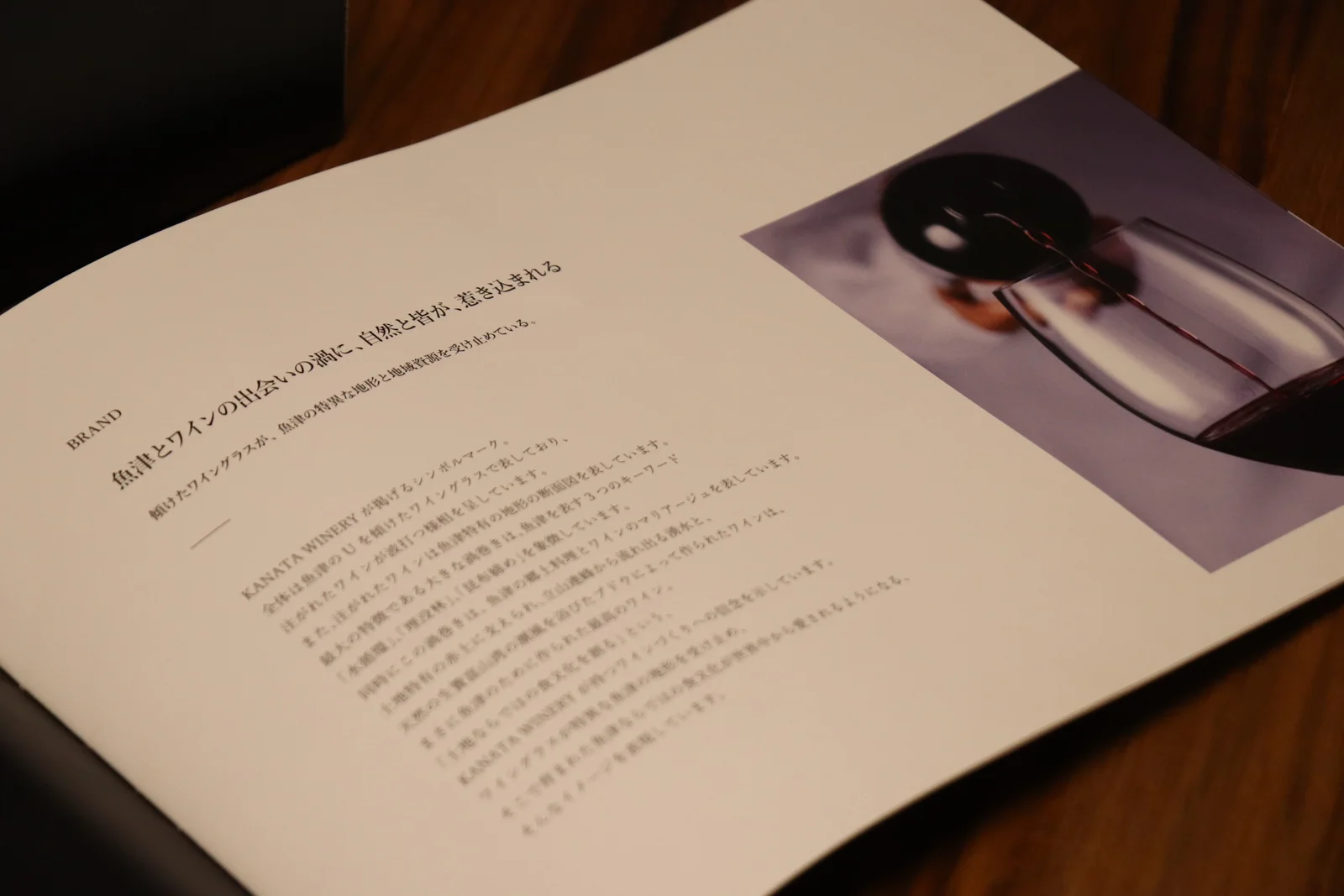 BRAND STORY BOOK