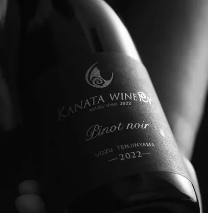 Pinot noir 2022 のラベル