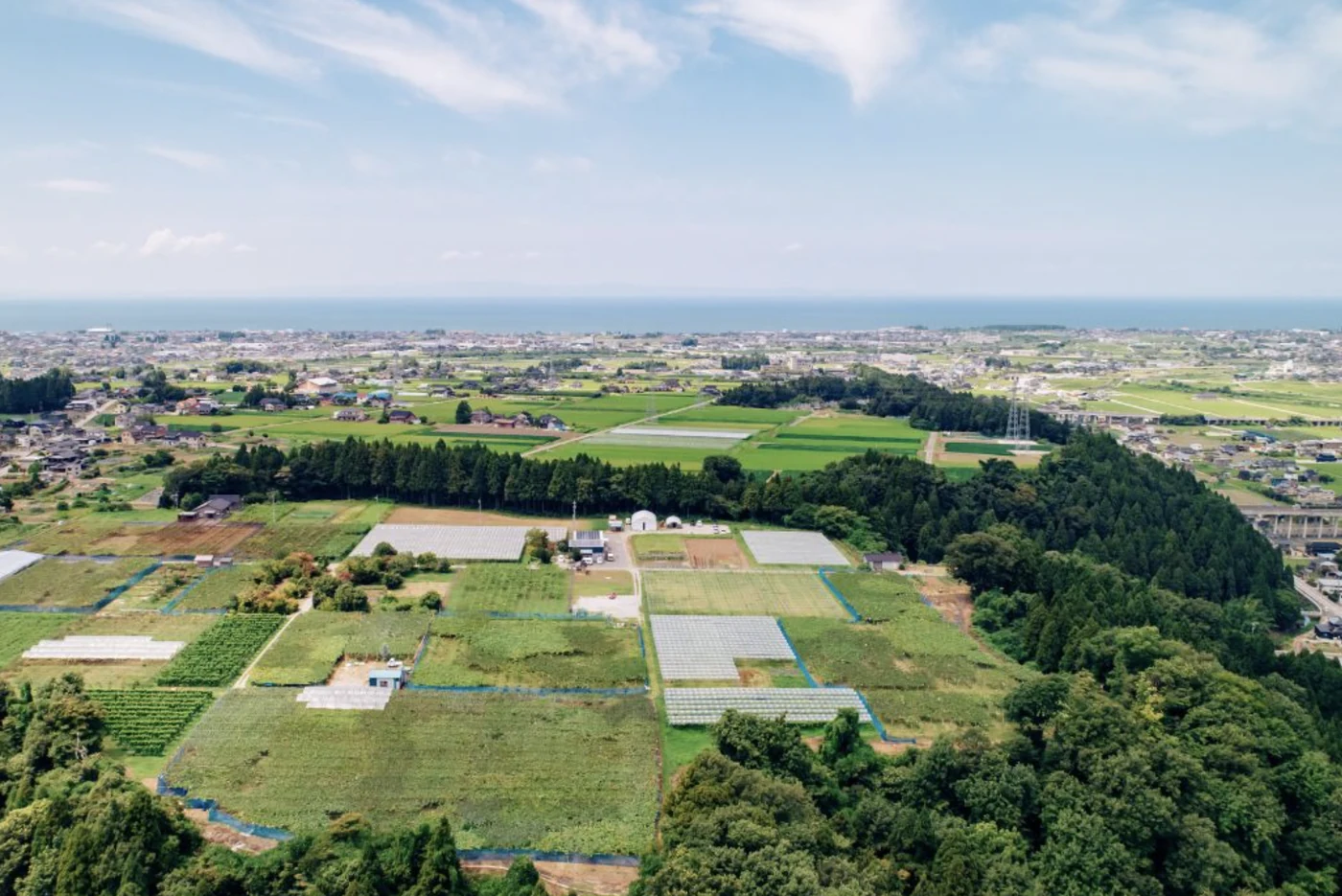 KANATA WINERY の畑と醸造所